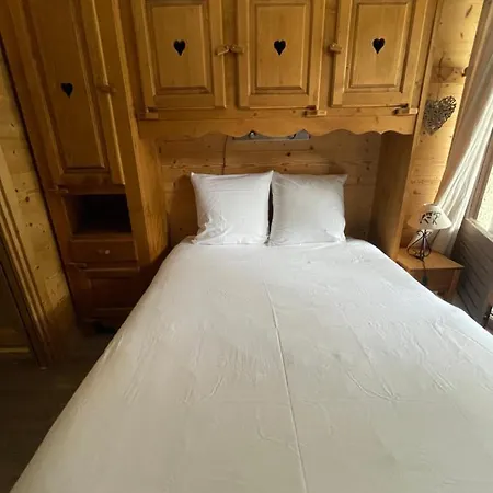 Superbe Au Pied Des Oeufs * La Plagne